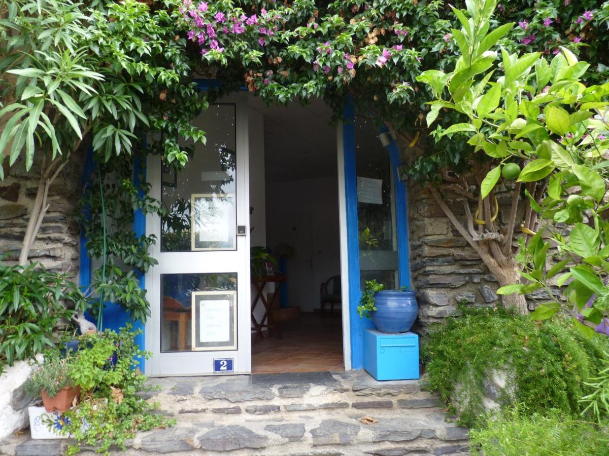 La Grande Bleue Lägenhet Banyuls-sur-Mer Exteriör bild